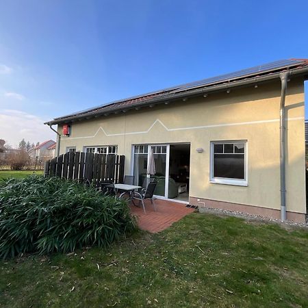 Ferienwohnung Am Muehlenkamp هيرينجسدورف المظهر الخارجي الصورة